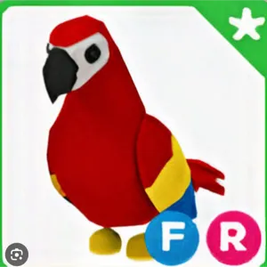Pet