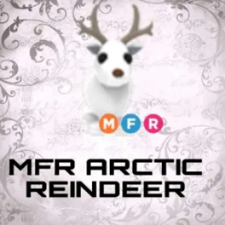 MFR Arctic Reindeer