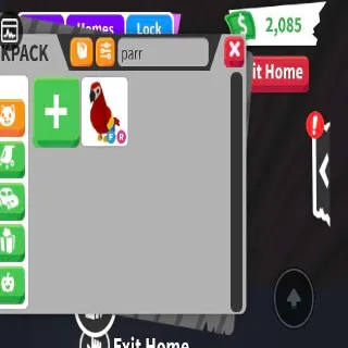 FR Parrot Adopt Me!