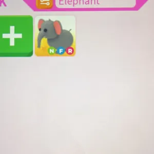 elephant nfr