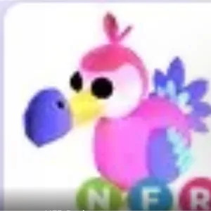 NFR DODO