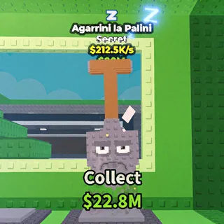 Pet