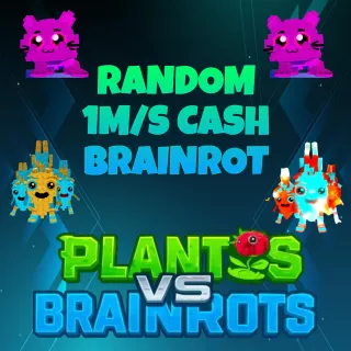 2 pieces 1m/s Cash Brainrot