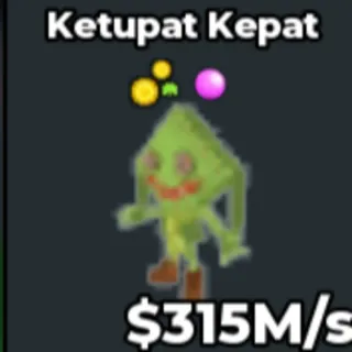 Pet