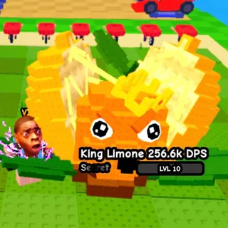 256K DPS | 5.6KG | Huge King Limone