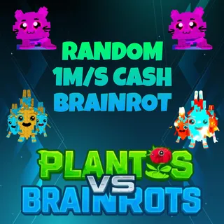 2 pieces 1m/s Cash Brainrot