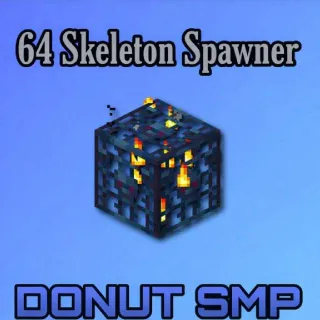 64x Skeleton Spawners