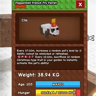 Peppermint French Fry Ferret 38-39Kg 