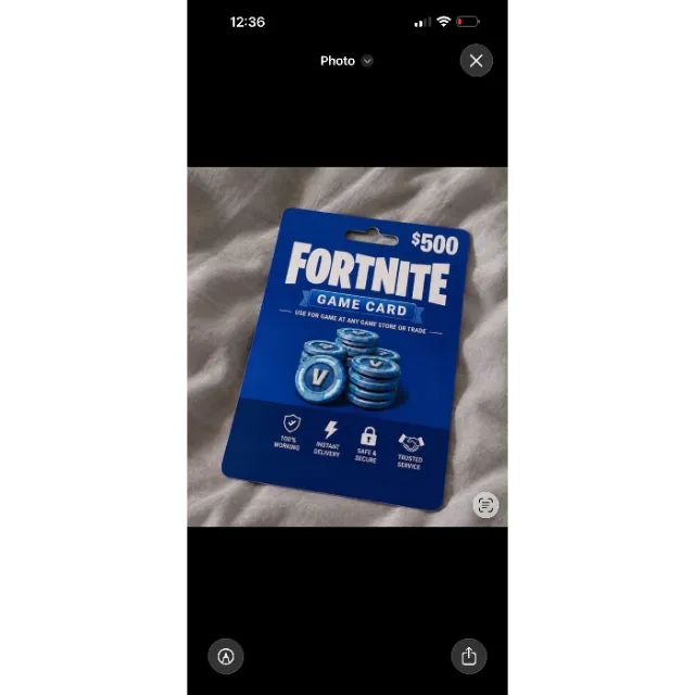 出品写真