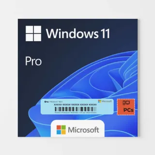 Windows 11 Pro [OEM]