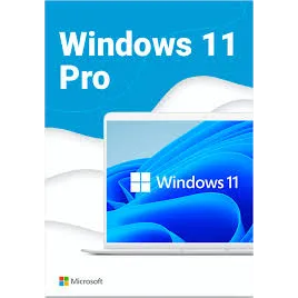 Windows 11/10 Professional key