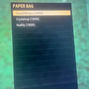 10k Big Bloom Flowers