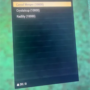 30k Big Bloom Flowers