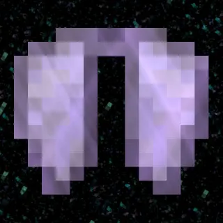 Elytra | DonutSMP