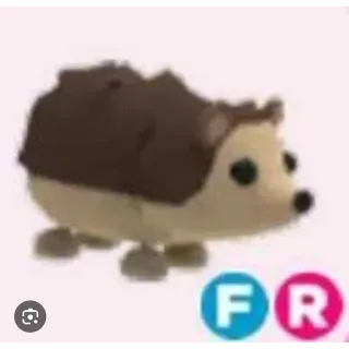 FR Hedgehog 