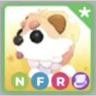NFR Cryptid