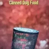 Canned dog food x 500