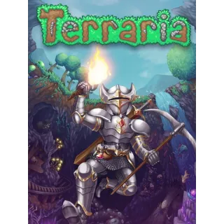 Terraria Steam Key/Code Global