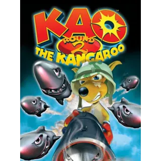 Kao the Kangaroo: Round 2 Steam Key/Code Global