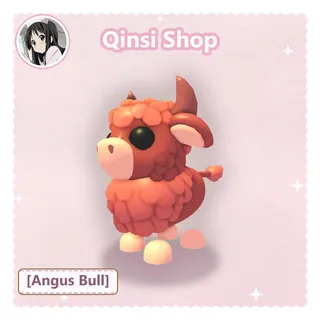 Angus Bull