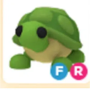 fr turtle