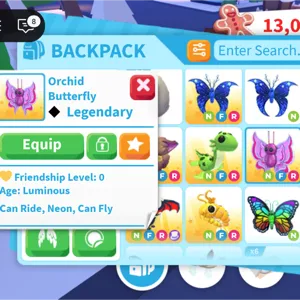 NFR Orchid Butterfly