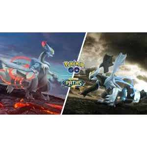 custom req for 2mil dust & 300 xl candy for sected pokemon