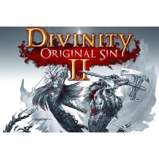 Divinity Original Sin 2 Upgrade To Divine Edition Steam Games Gameflip - divinity codes roblox