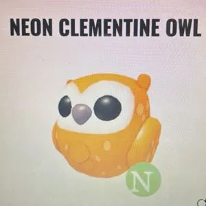 Adopt me Clementine owl