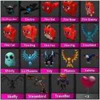 FULL GODLY PET SET