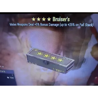 5 Bruisers mods