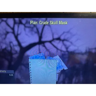 Crude skull mask 