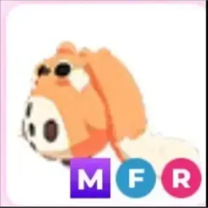 MFR CABBIT