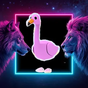 FR flamingo