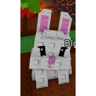 big bunny 🐰