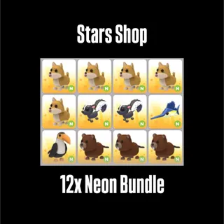 12x Neon Bundle