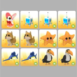 12x Neon Pet Bundle