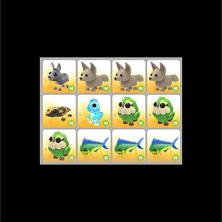 12x Neon Pet Bundle