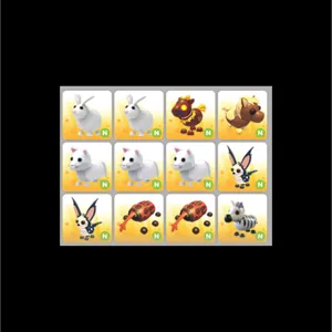 12x Neon Pet Bundle