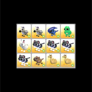 12x Neon Pet Bundle