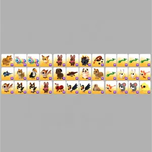 36x Mega Pet Bundle