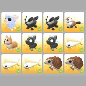 12x Neon Pet Bundle