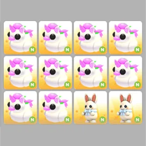 12x Neon Pet Bundle