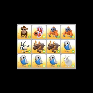 12x Neon Rare Pet