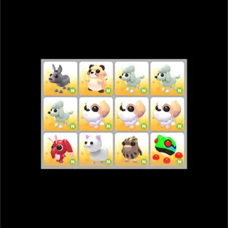 12x Neon Pet Bundle
