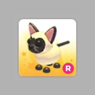 Ride Siamese Cat