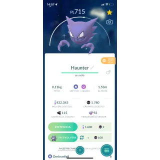 Shiny HAUNTER 2020 CD - pokemon go