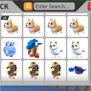 12x BUNDLE PET