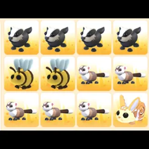 BUNDLE PET 12x