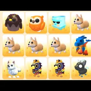 BUNDLE PET 12x